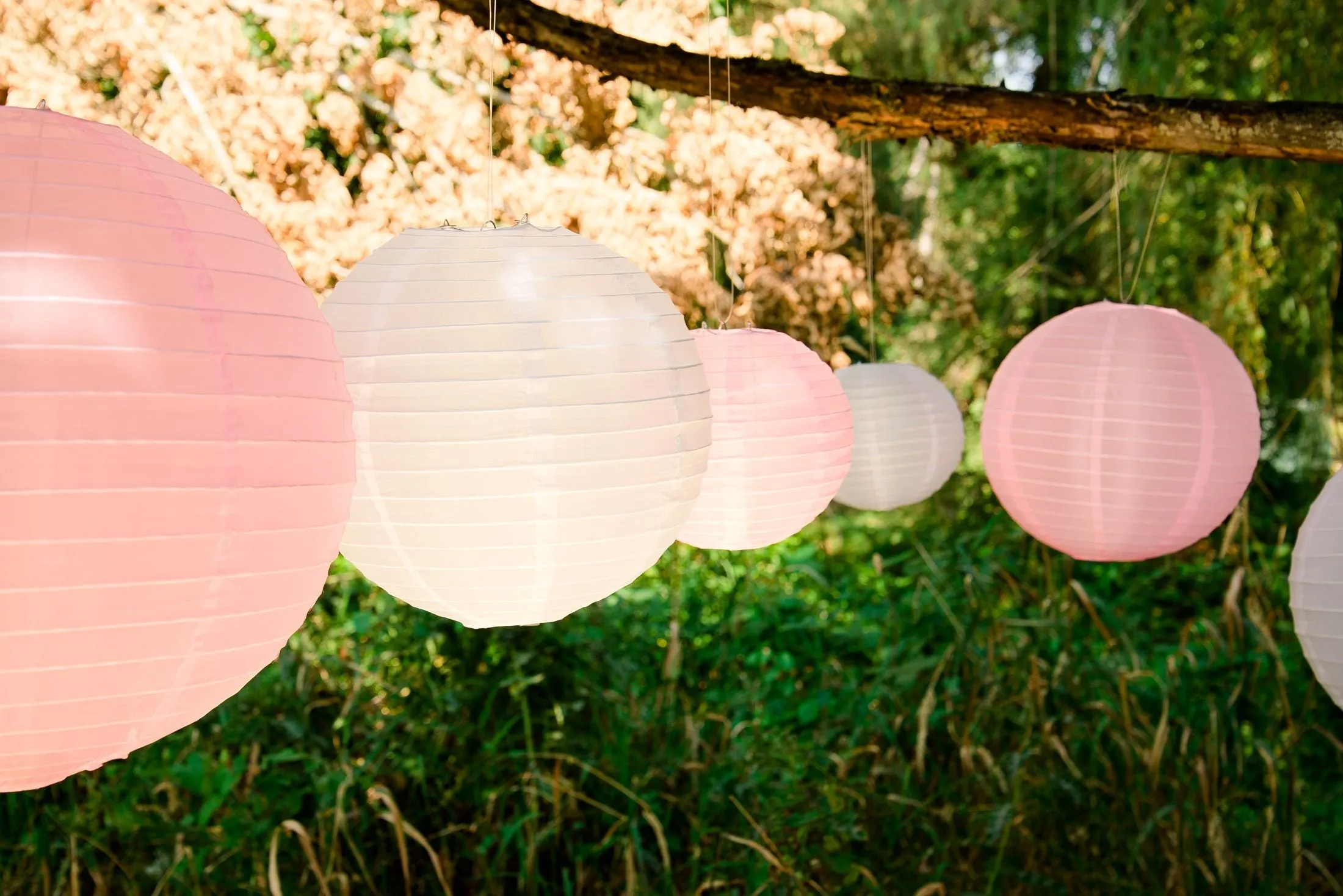 8 in. Nylon Lantern (3 Colors)