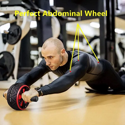 Ace Ultra Wide Ab Wheel