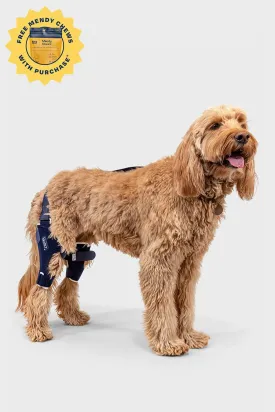 Dual Knee Brace