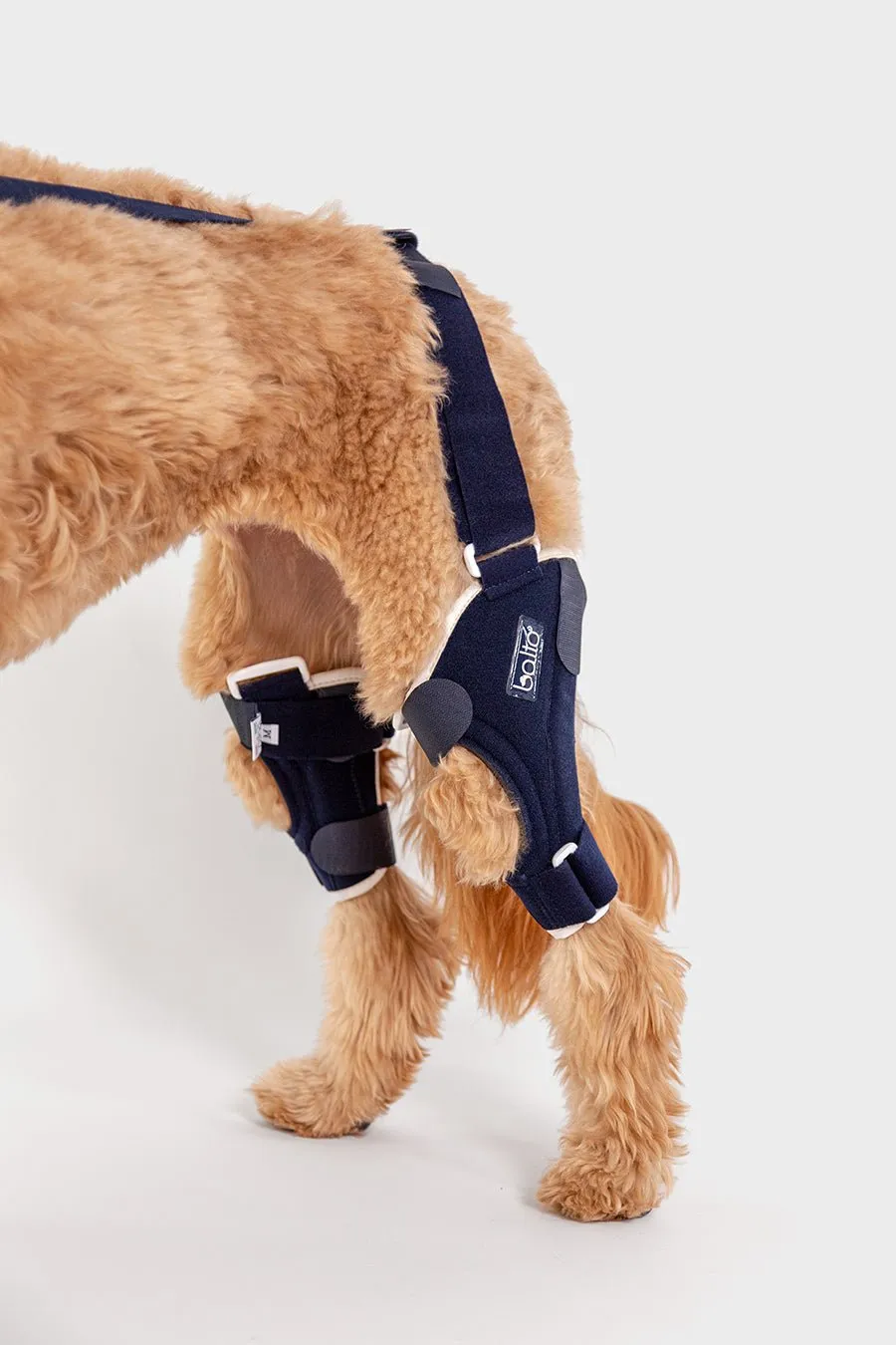 Dual Knee Brace