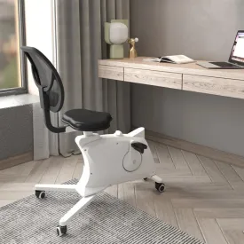 FlexiSpot Sit2Go F1F1 Sit2Go 2-in-1 Fitness Chair