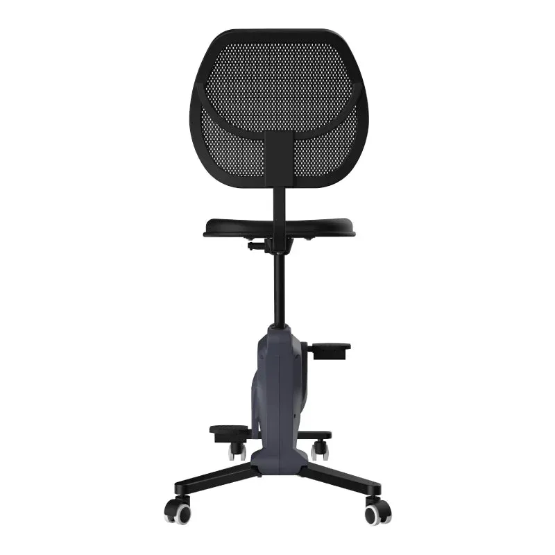 FlexiSpot Sit2Go F1F1 Sit2Go 2-in-1 Fitness Chair