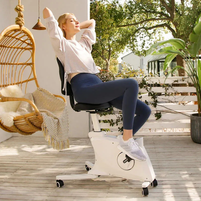 FlexiSpot Sit2Go F1F1 Sit2Go 2-in-1 Fitness Chair