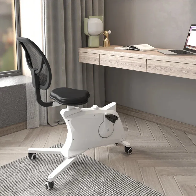 FlexiSpot Sit2Go F1F1 Sit2Go 2-in-1 Fitness Chair