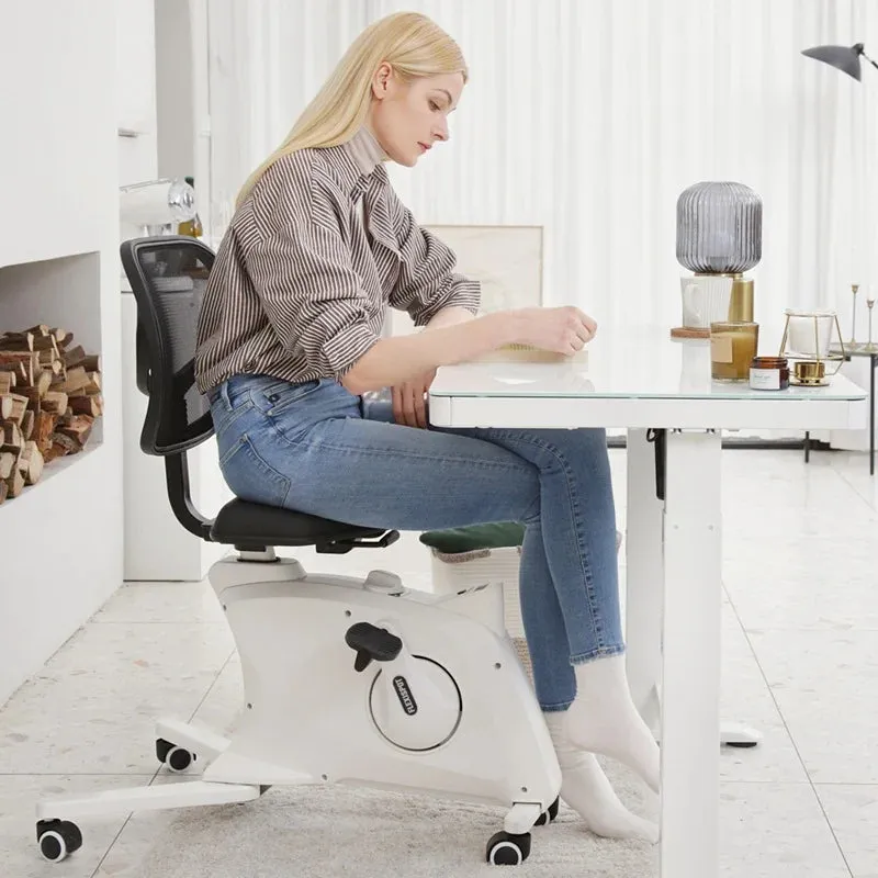 FlexiSpot Sit2Go F1F1 Sit2Go 2-in-1 Fitness Chair