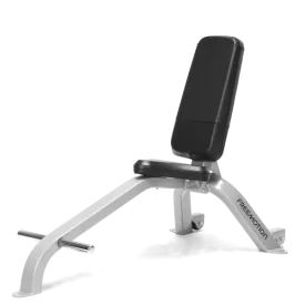 FreeMotion EF204 Utility Bench