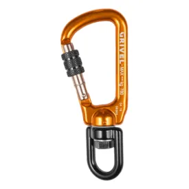 Rotor Screw Lock